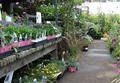 Flowercraft Garden Center image 1