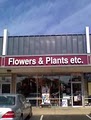 Flowers & Plants Etc image 2