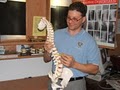 Forest Hills Chiropractic image 2