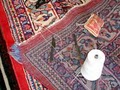Fort Worth Rug Cleaning CT Rugs Fort Worth - Oriental Rugs & Rug Cleaning image 3