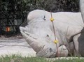 Fort Worth Zoo image 4