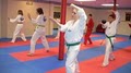 Franklin  WTF  Tae Kwon - Do image 5