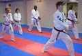 Franklin  WTF  Tae Kwon - Do image 6