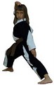 Franz Karate's Budokan Dojo Martial Arts University image 4