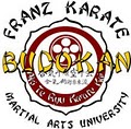 Franz Karate's Budokan Dojo Martial Arts University image 6