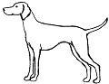 Fusion Dog Training logo