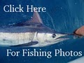 Galveston Fishing Charters-Deep Sea Fishing Guides in Galveston Tx (FishnDivers) image 6