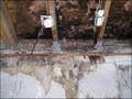 Garcia Carpet Care Inc - Water Damage Repair, Pets Odor Cleaning image 1