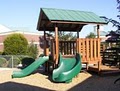 Go Out and Play LLC - Custom Decks - Tree houses image 3