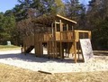 Go Out and Play LLC - Custom Decks - Tree houses image 5