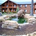 Grand Bear Resort image 3