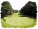 Grand Haven Golf Club image 5