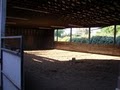 Granite Bay Equestrian Center image 6