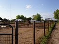Granite Bay Equestrian Center image 9