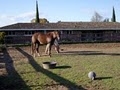 Granite Bay Equestrian Center image 10