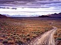 Great Basin Art Gallery & Frm image 3