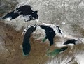 Great Lakes Mobile Shrink Wrap LLC image 1