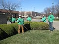 Green Boys LawnCare image 6
