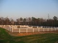 Green Tree Horse Farm image 2