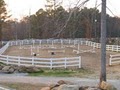 Green Tree Horse Farm image 3