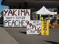 Greenlake Farmers Market image 2