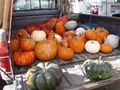 Greenlake Farmers Market image 5