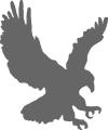 Grey Eagle IT logo
