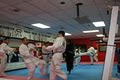 Grosse Pointe Academy of Tae Kwan DO image 2
