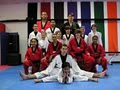 Grosse Pointe Academy of Tae Kwan DO image 1