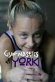 Gymnastics of York image 1