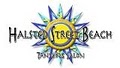 Halsted Street Beach Tanning- Spray Tan & Waxing- Lakeview, Chicago logo