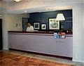 Hampton Inn Collinsville image 8