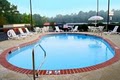 Hampton Inn Hot Springs image 7
