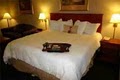 Hampton Inn image 8