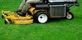 Hampton Roads Landscaping Lawn Care Landscape Maintenance Commercial Landscaping image 3