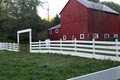 Handsome Brook Farm Bed and Breakfast image 2