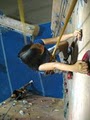 Hangar 18 Indoor Climbing Gyms - Upland image 5