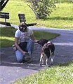 Happy Tails Dog Behavior & Training image 1