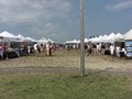 Harvey Cedars Arts Festival image 2
