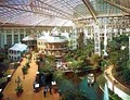 Hertz Local Edition - Opryland Hotel image 10