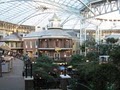Hertz Local Edition - Opryland Hotel image 1