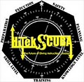 HiTek Scuba logo