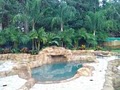 High Maintenance Landscaping | Landscaper Orlando image 1