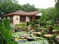 Hill Country Water Gardens and Nursery logo