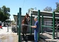 Historic Nelson Ranch Horse Boarding Stable & Horseback Riding Lessons Training image 4