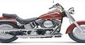 Hog Feathers Motorcycle Rentals image 3