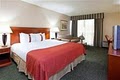 Holiday Inn Cincinnati-Riverfront image 4