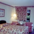 Holiday Inn Exp Bchfrnt Clseum image 3