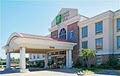 Holiday Inn Express Hotel & Suites Jasper image 8