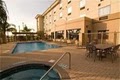 Holiday Inn Express Hotel & Suites Pharr image 9